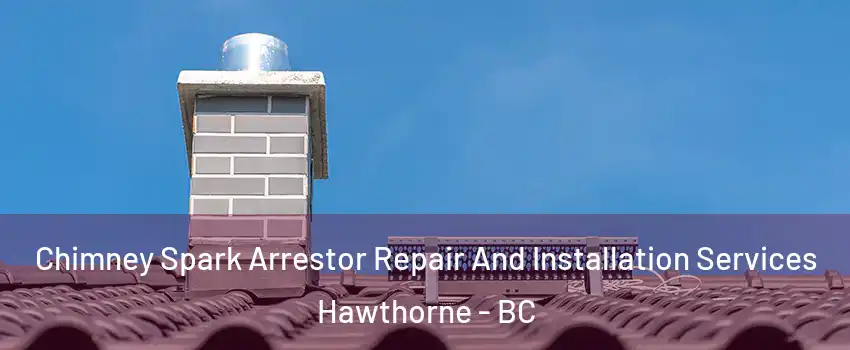  Chimney Spark Arrestor Repair And Installation Services Hawthorne - BC
