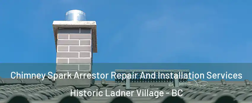  Chimney Spark Arrestor Repair And Installation Services Historic Ladner Village - BC