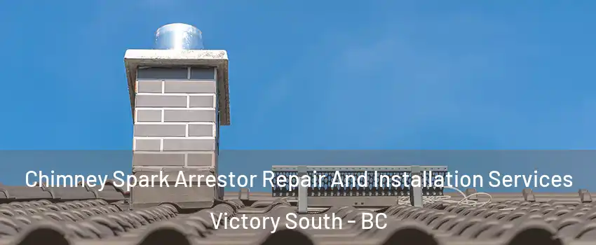  Chimney Spark Arrestor Repair And Installation Services Victory South - BC