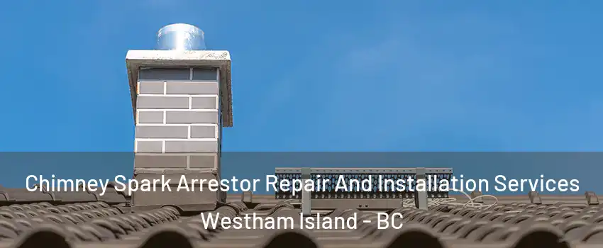  Chimney Spark Arrestor Repair And Installation Services Westham Island - BC