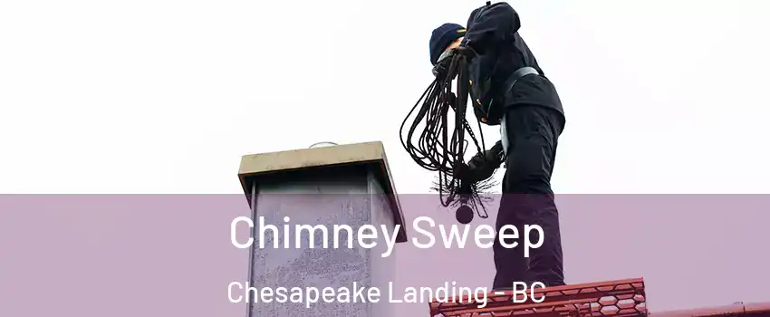  Chimney Sweep Chesapeake Landing - BC