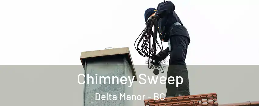  Chimney Sweep Delta Manor - BC