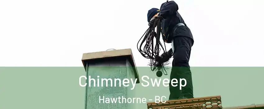  Chimney Sweep Hawthorne - BC
