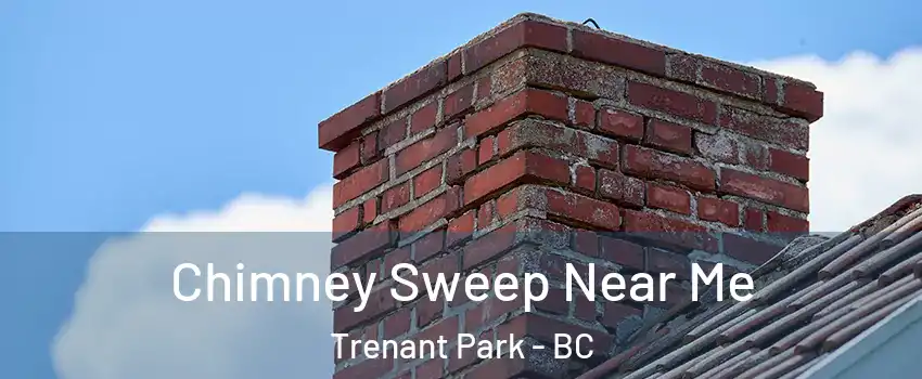  Chimney Sweep Near Me Trenant Park - BC