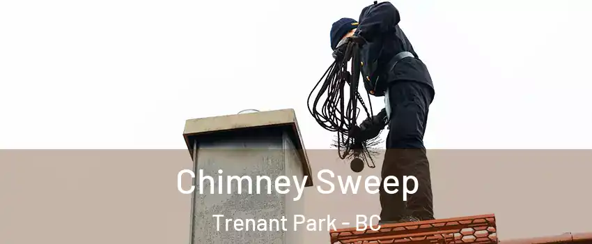  Chimney Sweep Trenant Park - BC