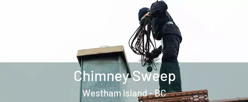  Chimney Sweep Westham Island - BC