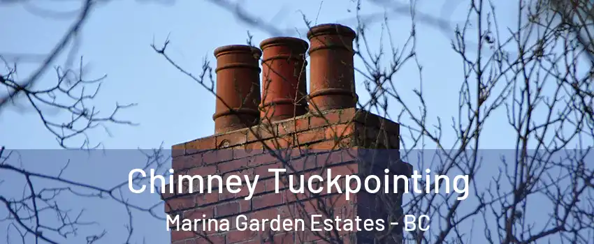  Chimney Tuckpointing Marina Garden Estates - BC