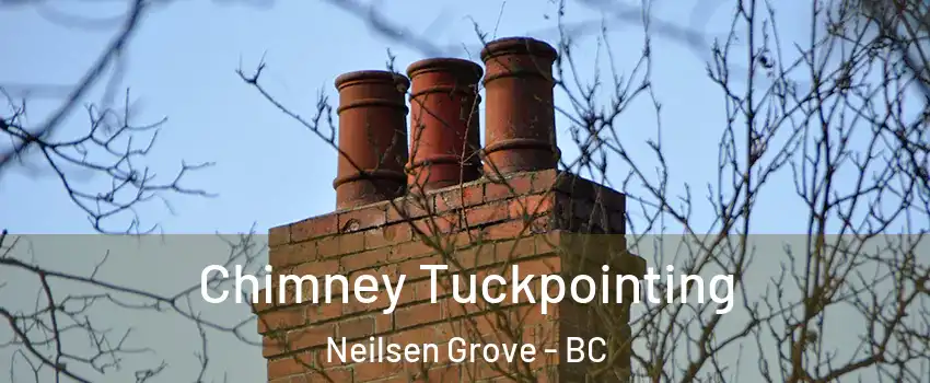 Chimney Tuckpointing Neilsen Grove - BC