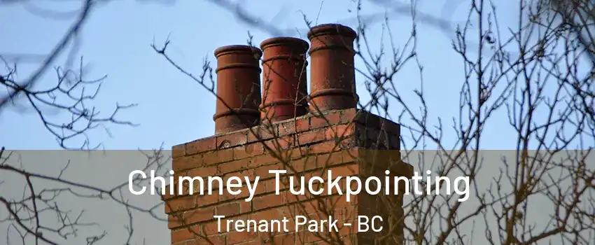  Chimney Tuckpointing Trenant Park - BC