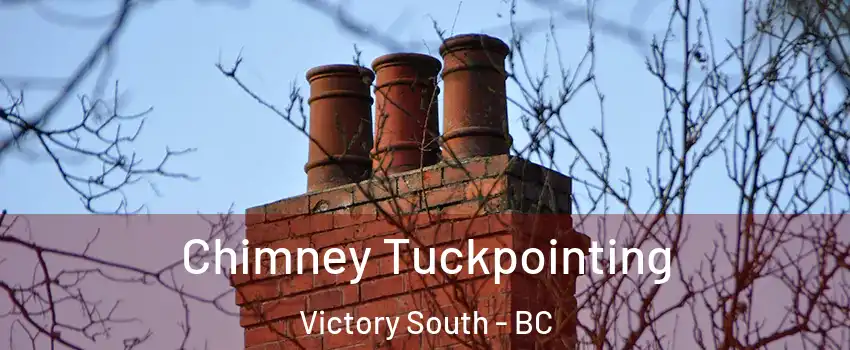  Chimney Tuckpointing Victory South - BC