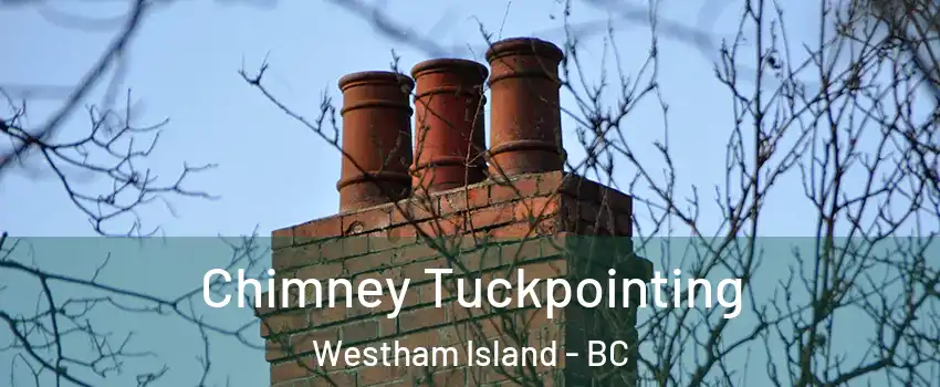  Chimney Tuckpointing Westham Island - BC