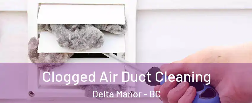  Clogged Air Duct Cleaning Delta Manor - BC