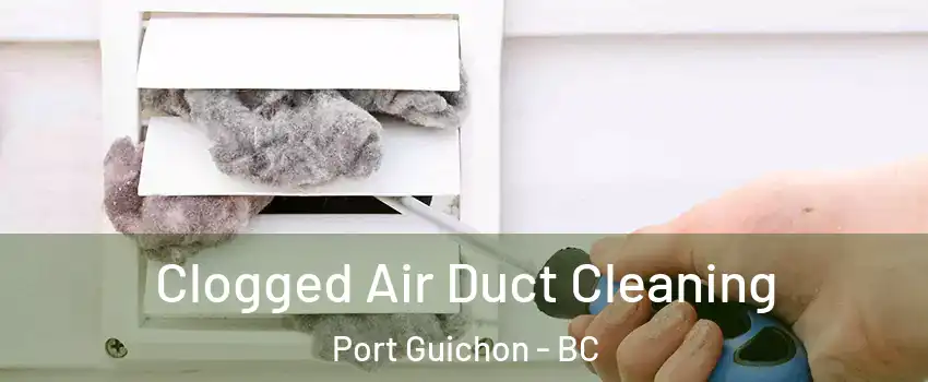  Clogged Air Duct Cleaning Port Guichon - BC