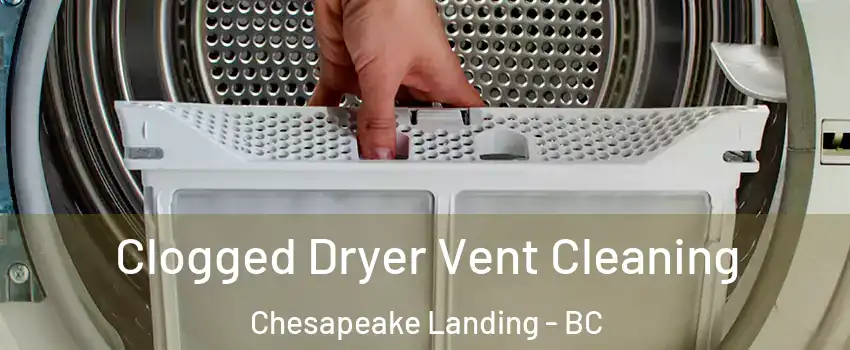  Clogged Dryer Vent Cleaning Chesapeake Landing - BC