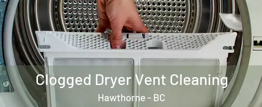  Clogged Dryer Vent Cleaning Hawthorne - BC