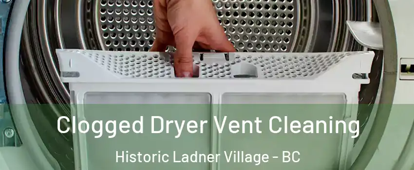  Clogged Dryer Vent Cleaning Historic Ladner Village - BC
