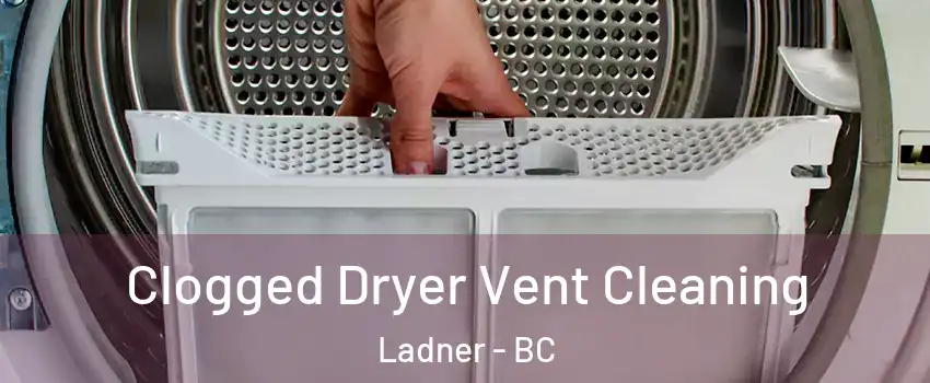  Clogged Dryer Vent Cleaning Ladner - BC