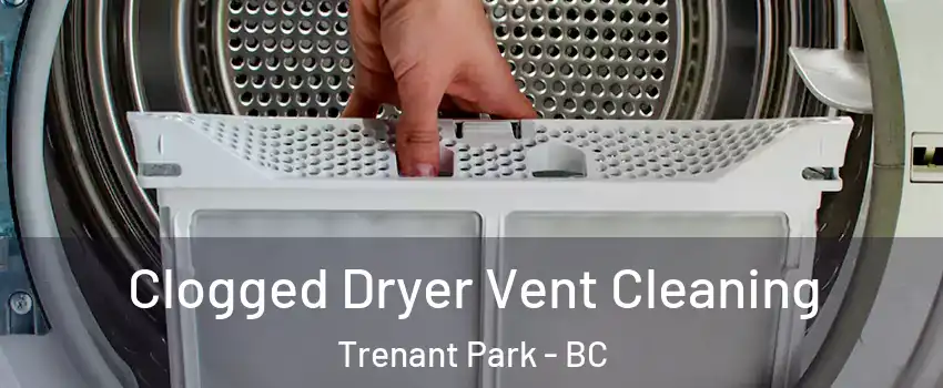  Clogged Dryer Vent Cleaning Trenant Park - BC
