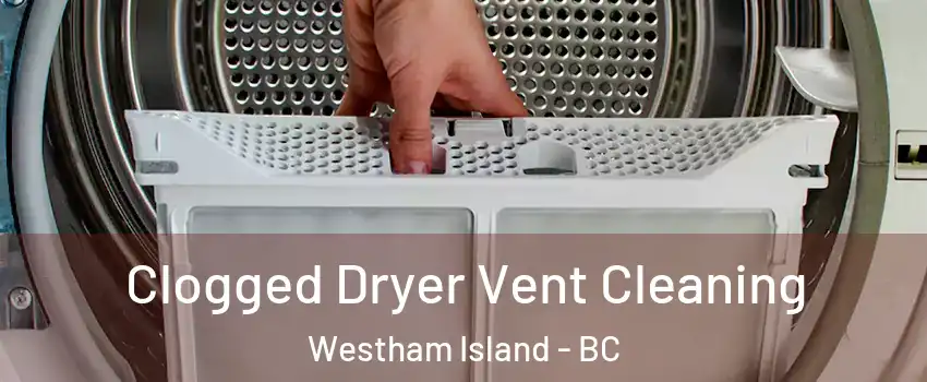  Clogged Dryer Vent Cleaning Westham Island - BC