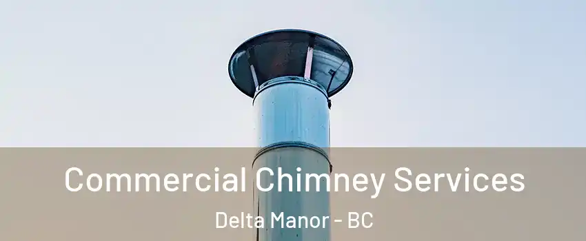  Commercial Chimney Services Delta Manor - BC