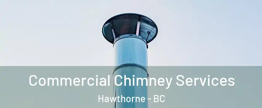  Commercial Chimney Services Hawthorne - BC