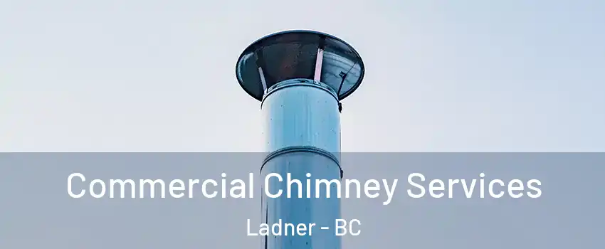  Commercial Chimney Services Ladner - BC