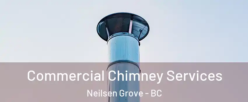  Commercial Chimney Services Neilsen Grove - BC
