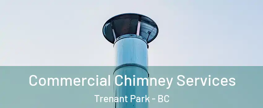  Commercial Chimney Services Trenant Park - BC
