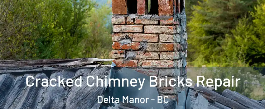  Cracked Chimney Bricks Repair Delta Manor - BC