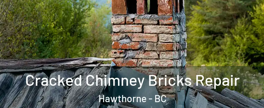  Cracked Chimney Bricks Repair Hawthorne - BC