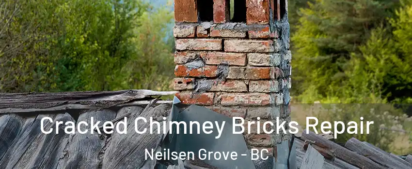  Cracked Chimney Bricks Repair Neilsen Grove - BC