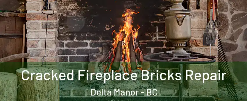  Cracked Fireplace Bricks Repair Delta Manor - BC