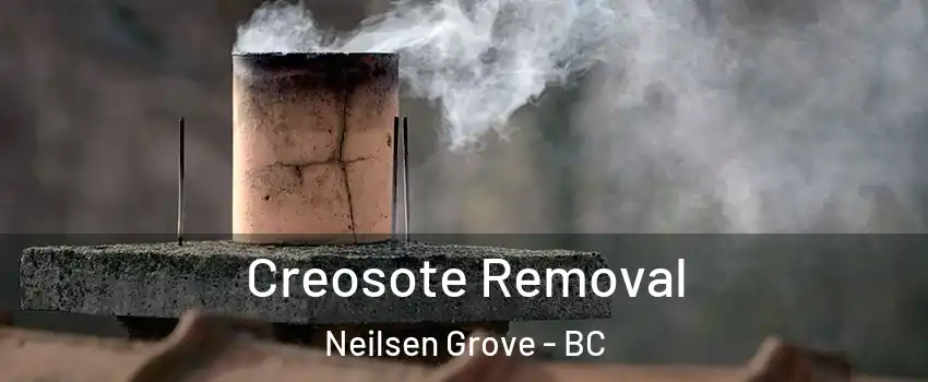  Creosote Removal Neilsen Grove - BC