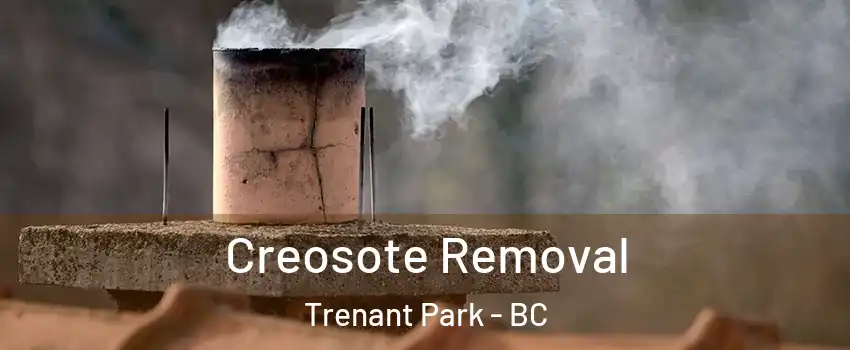  Creosote Removal Trenant Park - BC