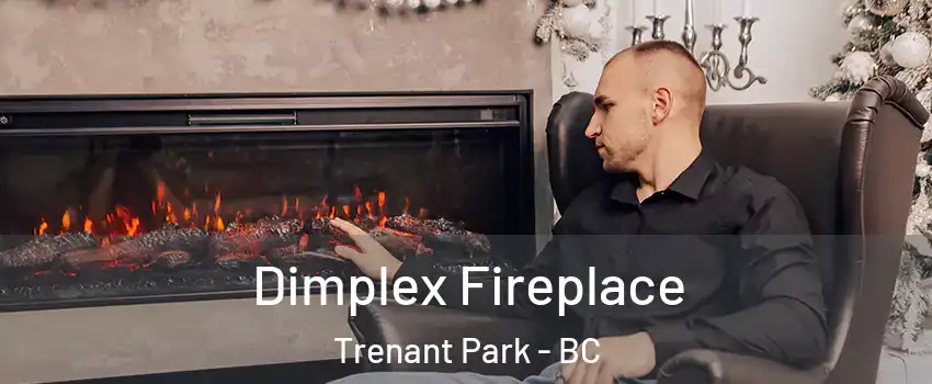  Dimplex Fireplace Trenant Park - BC