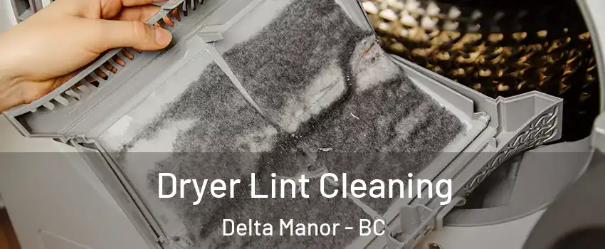  Dryer Lint Cleaning Delta Manor - BC