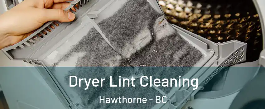 Dryer Lint Cleaning Hawthorne - BC