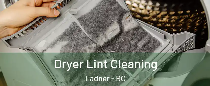  Dryer Lint Cleaning Ladner - BC