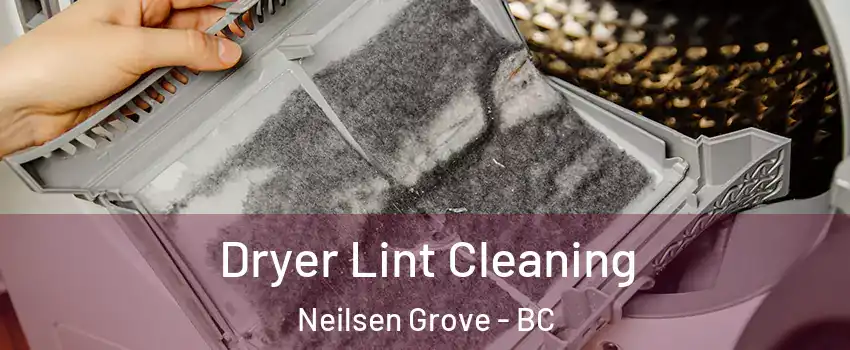  Dryer Lint Cleaning Neilsen Grove - BC