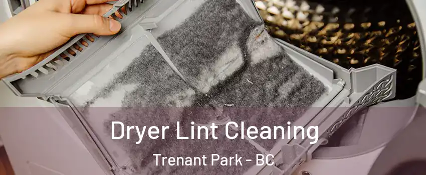  Dryer Lint Cleaning Trenant Park - BC