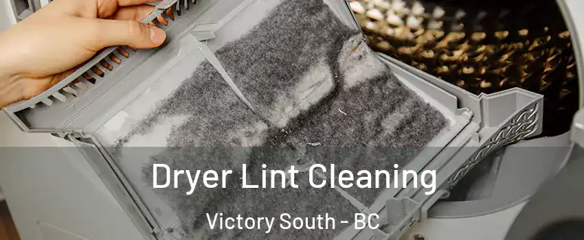  Dryer Lint Cleaning Victory South - BC
