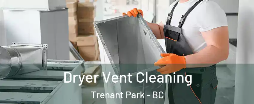  Dryer Vent Cleaning Trenant Park - BC