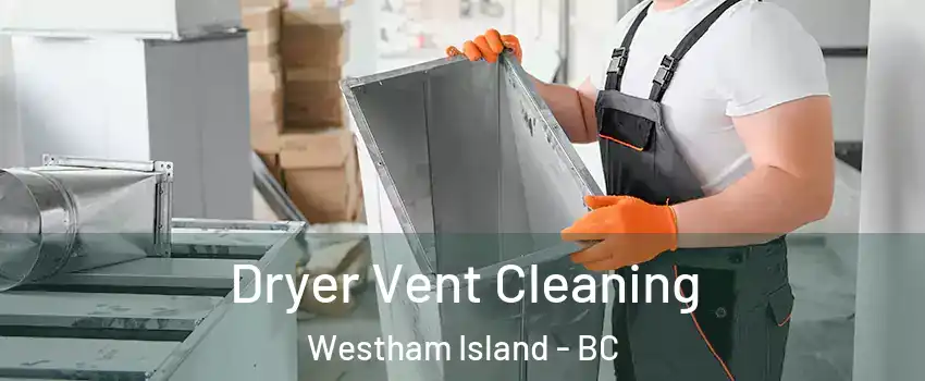  Dryer Vent Cleaning Westham Island - BC