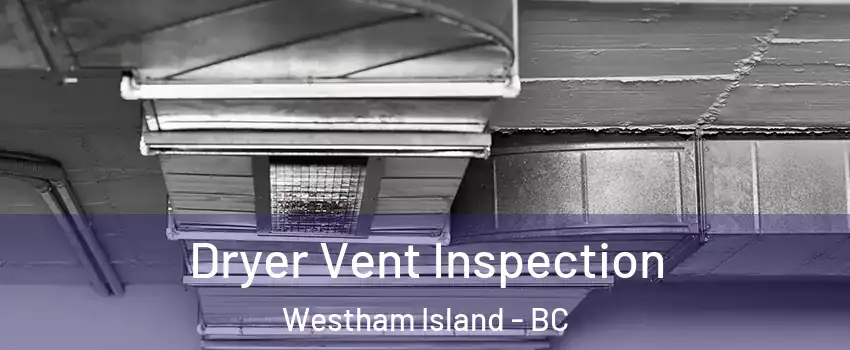  Dryer Vent Inspection Westham Island - BC