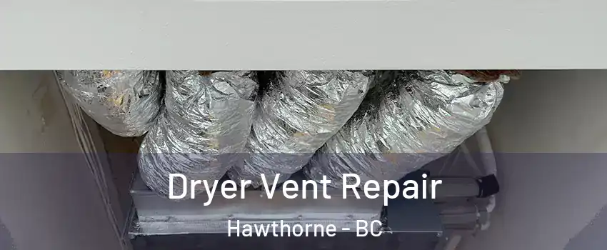  Dryer Vent Repair Hawthorne - BC