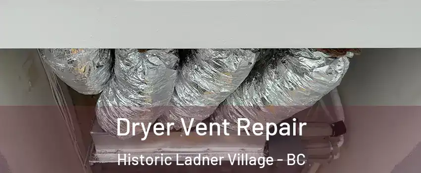  Dryer Vent Repair Historic Ladner Village - BC