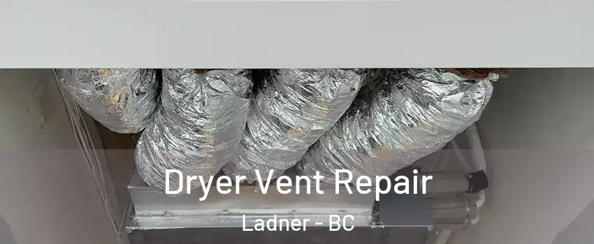 Dryer Vent Repair Ladner - BC