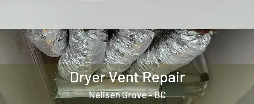  Dryer Vent Repair Neilsen Grove - BC