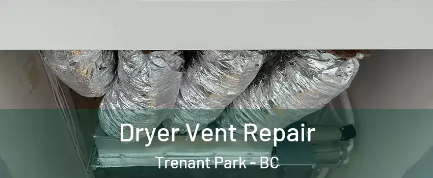  Dryer Vent Repair Trenant Park - BC
