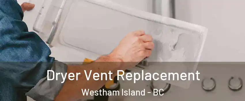  Dryer Vent Replacement Westham Island - BC